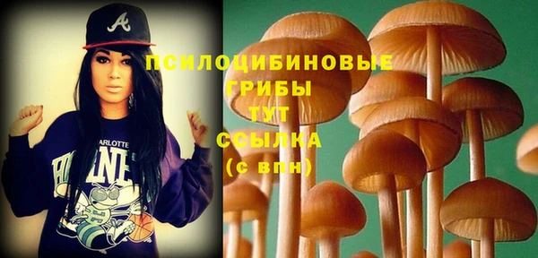 PSILOCYBIN Балабаново